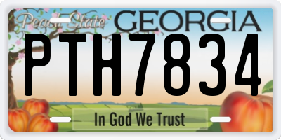 GA license plate PTH7834
