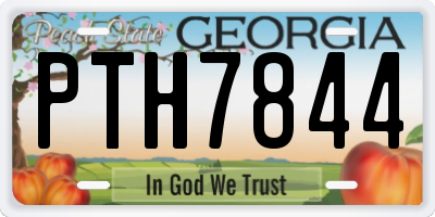 GA license plate PTH7844