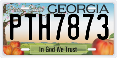 GA license plate PTH7873