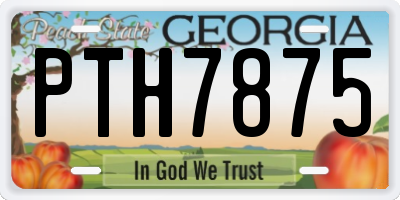 GA license plate PTH7875