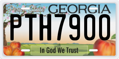 GA license plate PTH7900