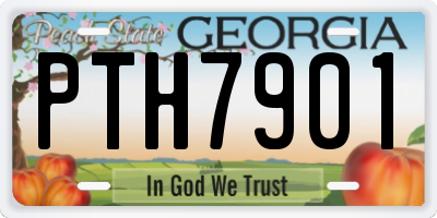 GA license plate PTH7901