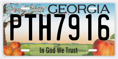 GA license plate PTH7916