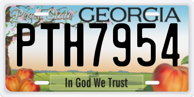 GA license plate PTH7954