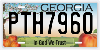 GA license plate PTH7960
