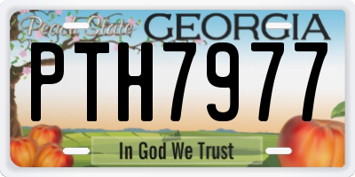 GA license plate PTH7977
