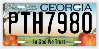 GA license plate PTH7980