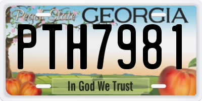 GA license plate PTH7981