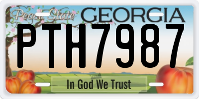 GA license plate PTH7987