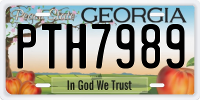 GA license plate PTH7989