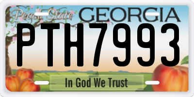 GA license plate PTH7993