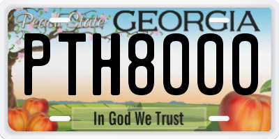 GA license plate PTH8000
