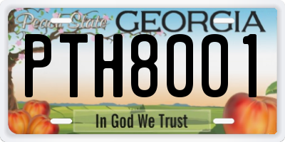 GA license plate PTH8001
