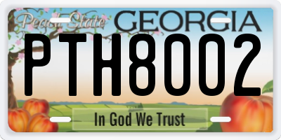 GA license plate PTH8002