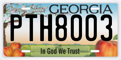 GA license plate PTH8003