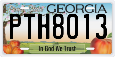 GA license plate PTH8013