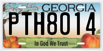 GA license plate PTH8014