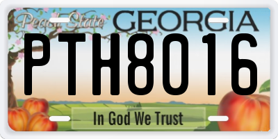 GA license plate PTH8016