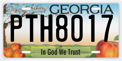 GA license plate PTH8017