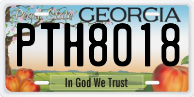 GA license plate PTH8018