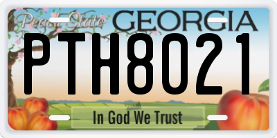 GA license plate PTH8021