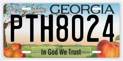 GA license plate PTH8024