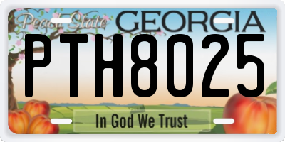 GA license plate PTH8025