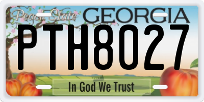 GA license plate PTH8027