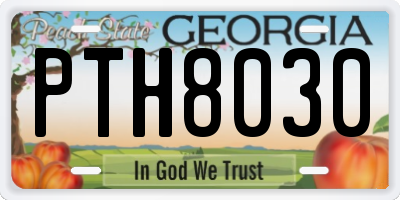 GA license plate PTH8030