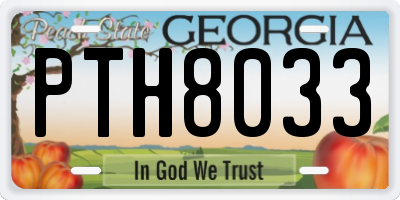 GA license plate PTH8033