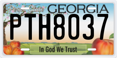 GA license plate PTH8037