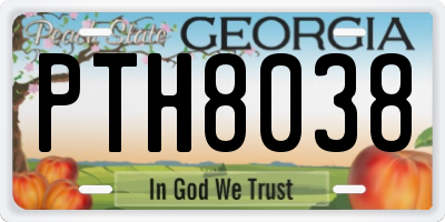 GA license plate PTH8038