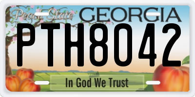 GA license plate PTH8042