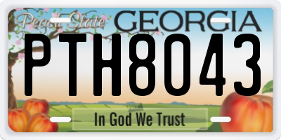 GA license plate PTH8043