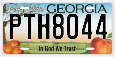 GA license plate PTH8044