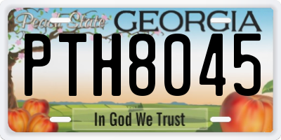 GA license plate PTH8045
