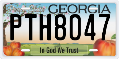 GA license plate PTH8047