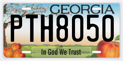 GA license plate PTH8050