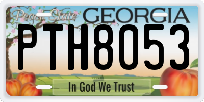 GA license plate PTH8053