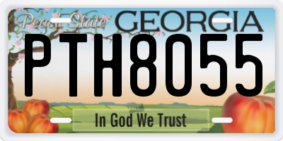 GA license plate PTH8055
