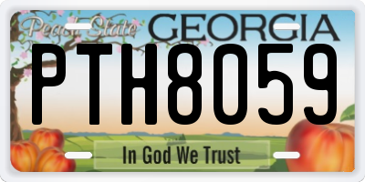 GA license plate PTH8059