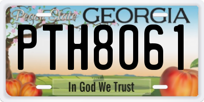 GA license plate PTH8061