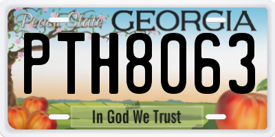 GA license plate PTH8063