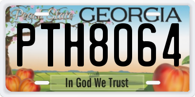 GA license plate PTH8064