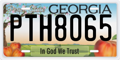 GA license plate PTH8065