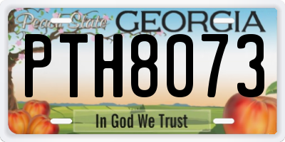 GA license plate PTH8073