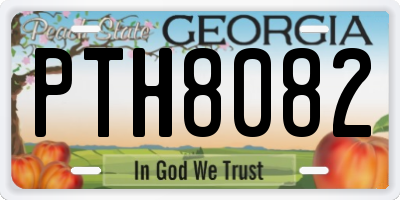 GA license plate PTH8082