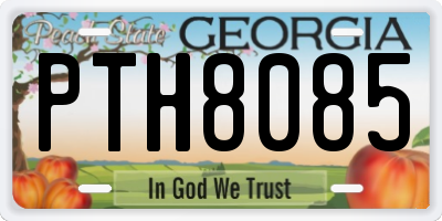 GA license plate PTH8085