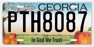 GA license plate PTH8087