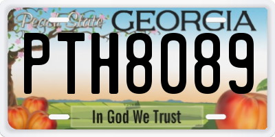 GA license plate PTH8089